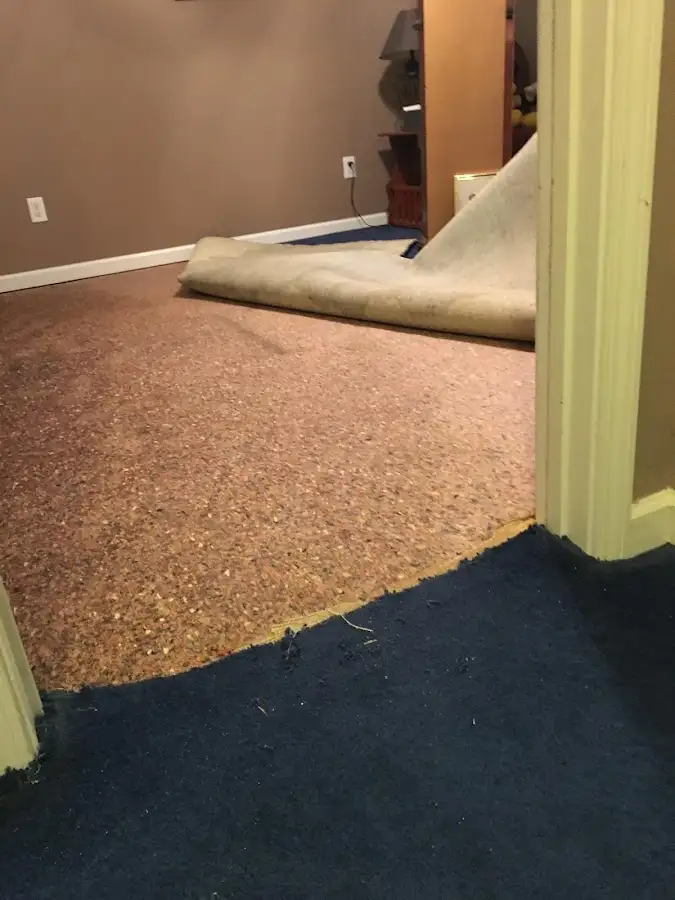 Carpet pad removal revealing water damage during Water Mitigation Services in Federal Heights