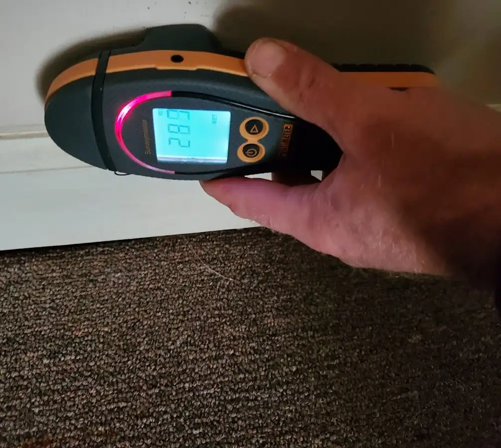 Moisture detection at baseboard during Burst Pipe Cleanup in Federal Heights